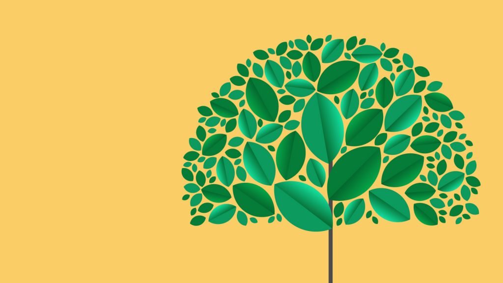 cile blog – Sustainability cile blog – Sustainability